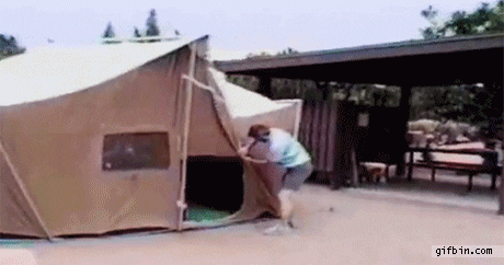 Wind Tent GIF - Find & Share on GIPHY