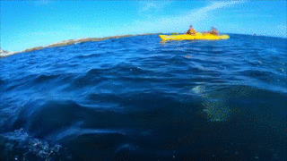 Slap Wtf GIF