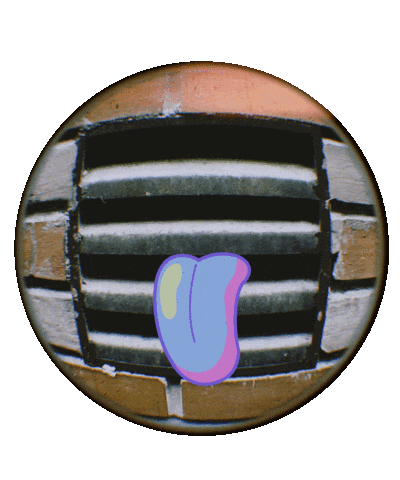 Fun Sticker
