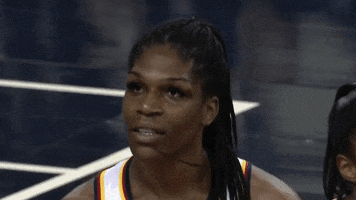 Come On Ugh GIF by Indiana Fever