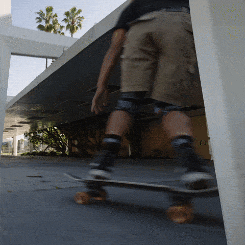 Cruising Carving GIF by Landyachtz