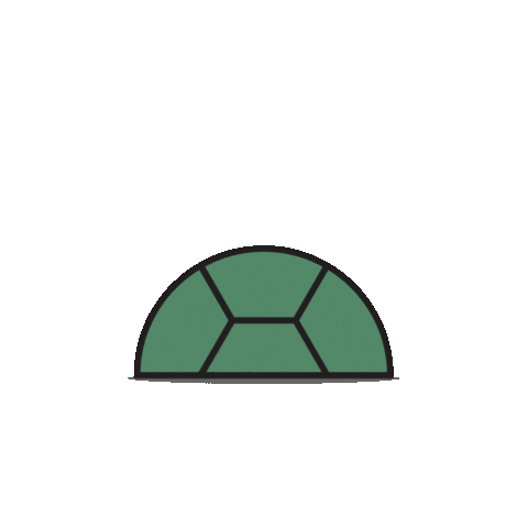 Slow Turtle Shop Sticker