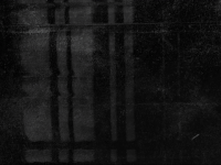 temple-cache-x2g22BYdTV49W