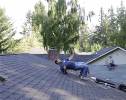 roof GIF
