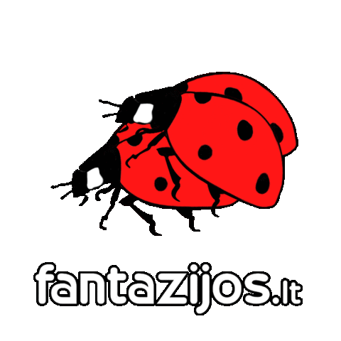 fantazijos.lt Sticker