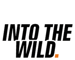 Beanie Powerbank Sticker by RUGDLife