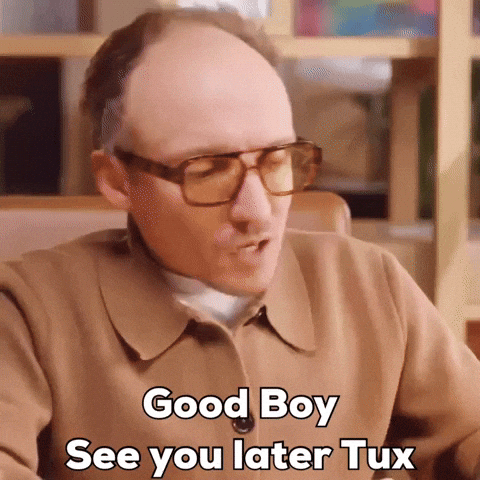 Tinyredcarpet GIF