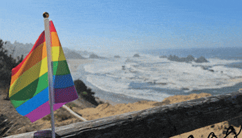 Rainbow Beach GIF by AceArchive