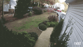 fail bad day GIF by Nest