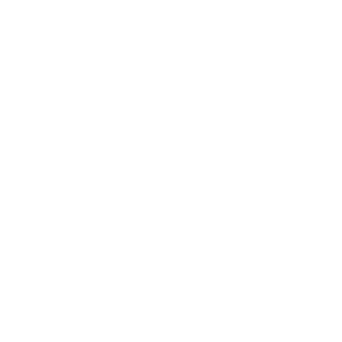 Zoom Fasnet Sticker by Riddemer Notenrätscher