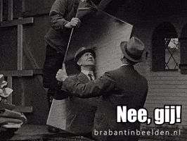 Brabant Spiegel GIF by BrabantinBeelden