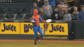 oakland athletics pie GIF