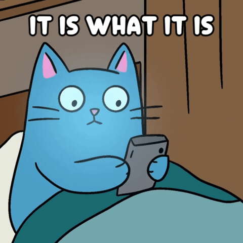 Blue Cat Acceptance GIF