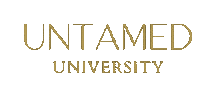 University Taylor Sticker by iamtaylorsimpson