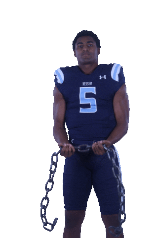 Seahawks Sticker by Keiser University Athletics