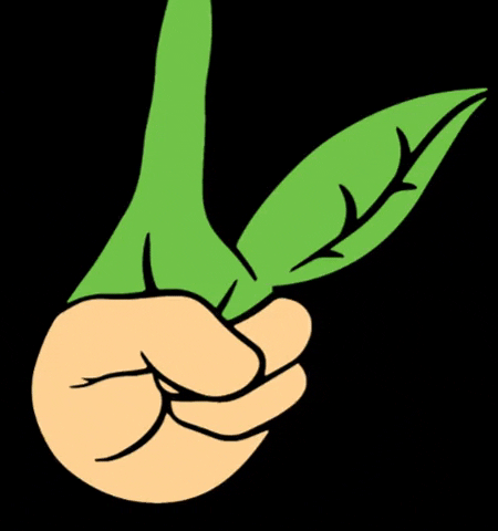 Rollito Vegano GIF
