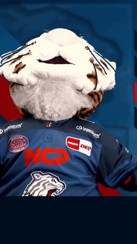 Nürnberg Ice Tigers GIF