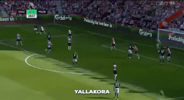wesamtaha  GIF
