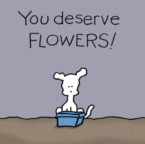 Pohyblivá animace s bílým pejskem, kolem kterého se objevují barevné květiny s nápisem You deserve Flowers.