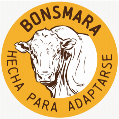 Campo Toro GIF by Bonsmara Argentina