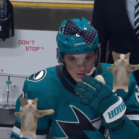 San Jose Sharks Hockey GIF