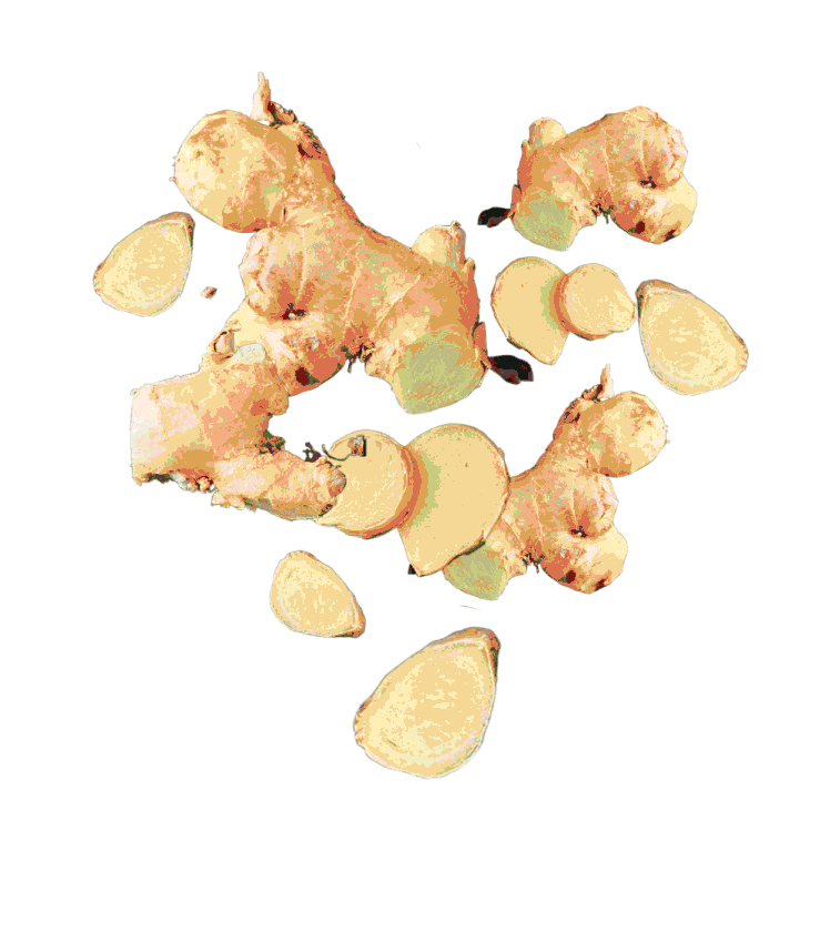 Real Pet Food Company Sticker