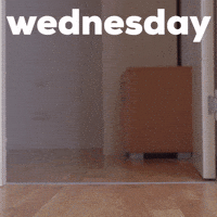 Wednesday Morning Dog GIF by Sealed With A GIF