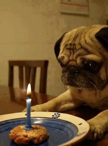 Jak chcesz świętować swoje kolejne urodziny