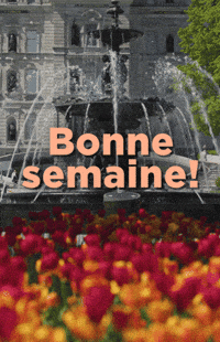 assnatqc-xBBvO6Y5wLxxxC3b3t