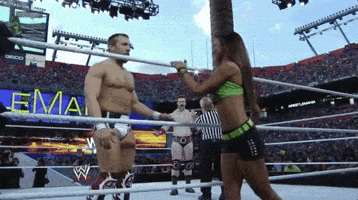 Daniel Bryan Wrestling GIF by WWE