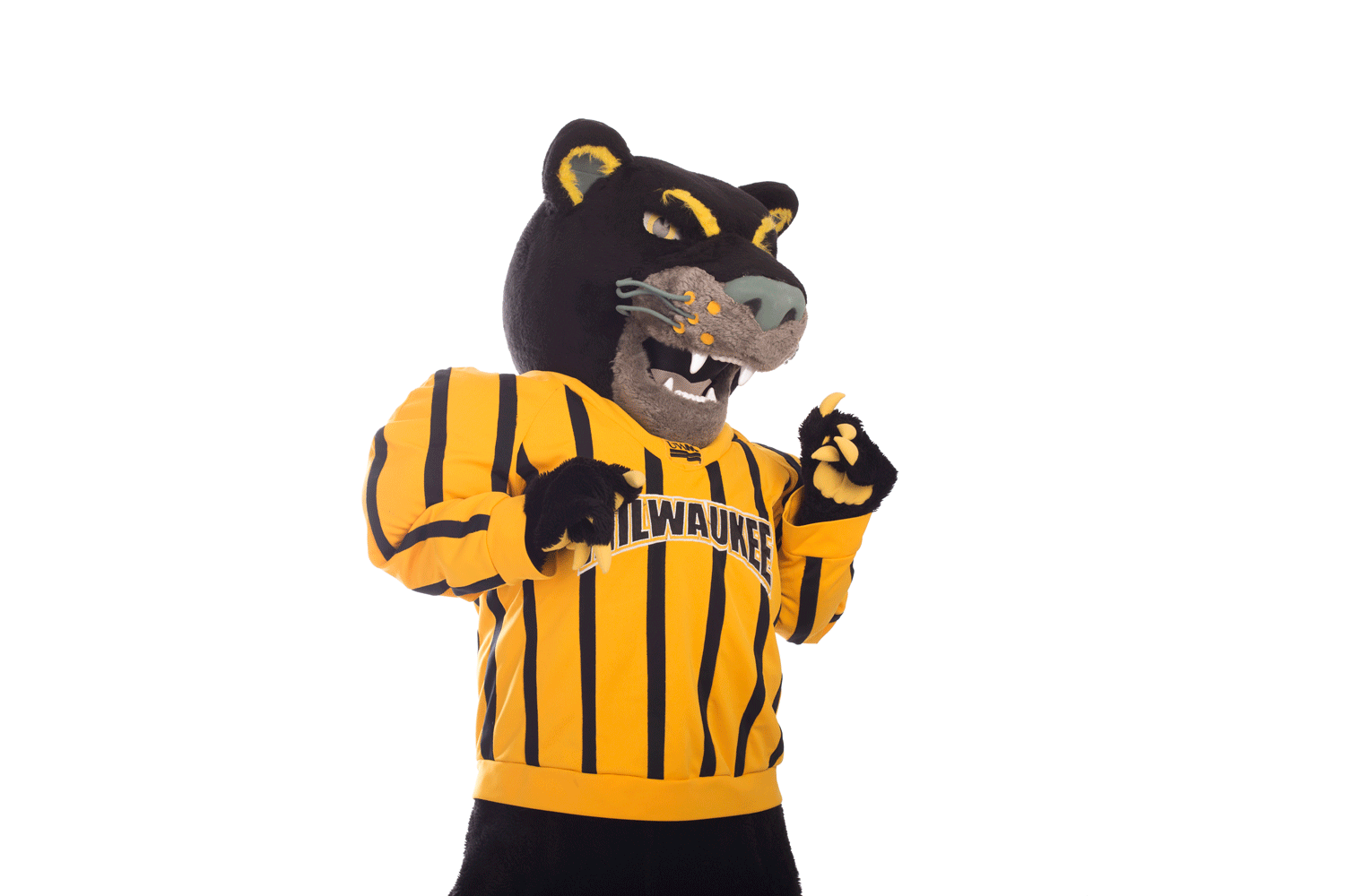 Dance Pounce GIF by UW-Milwaukee - Find & Share on GIPHY