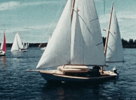 Summer Water GIF by Archives of Ontario | Archives publiques de l'Ontario