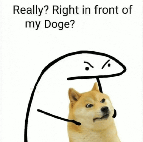 Dodgecoin Dog Upset GIF