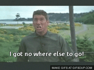 giphy.gif?cid=ecf05e47vpprj0mtk1hy4e4dwl