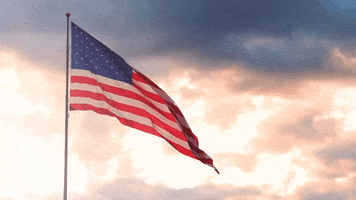 American Flag Usa GIF by College of Arts and Sciences