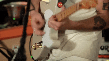 music band guitar GIF by Infinity Cat Recordings
