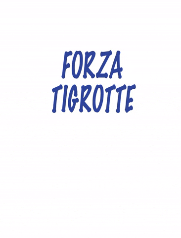 PallavoloCernusco GIF