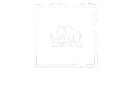 Woolly's Rugs Sticker