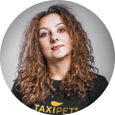 Taxipetmilano Sticker by TaxiPet