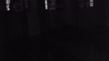 indiarafernanda  GIF