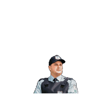 enselvigilancia Sticker