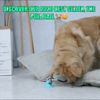 200.gif?cid=fc005b0899c6625b82ffce93d78be909b86dc581ac6d404c&rid=200.gif&ct=g
