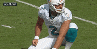 fail miami dolphins GIF