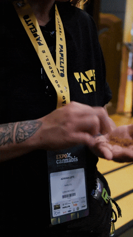 Rolling Papers GIF by Papelito Brasil