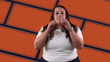 Lookout Cwg GIF by Carson-Newman Athletics