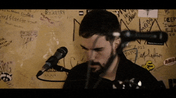 welshly arms sanctuary GIF by Republic Records