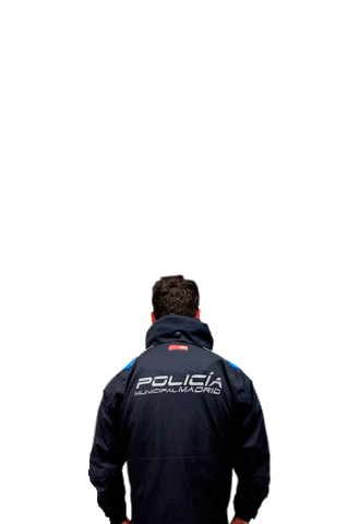 Academica Cronos Sticker