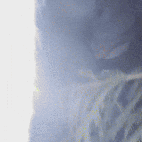 We Have A Problem Operator GIF