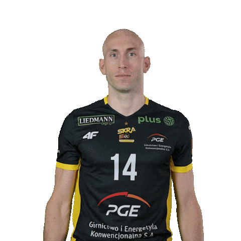 Volleyball Sticker by PGE GiEK Skra Bełchatów