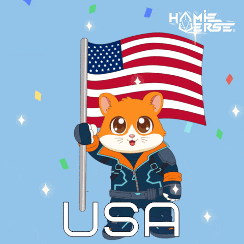 Independence Day Usa GIF by Hamieverse